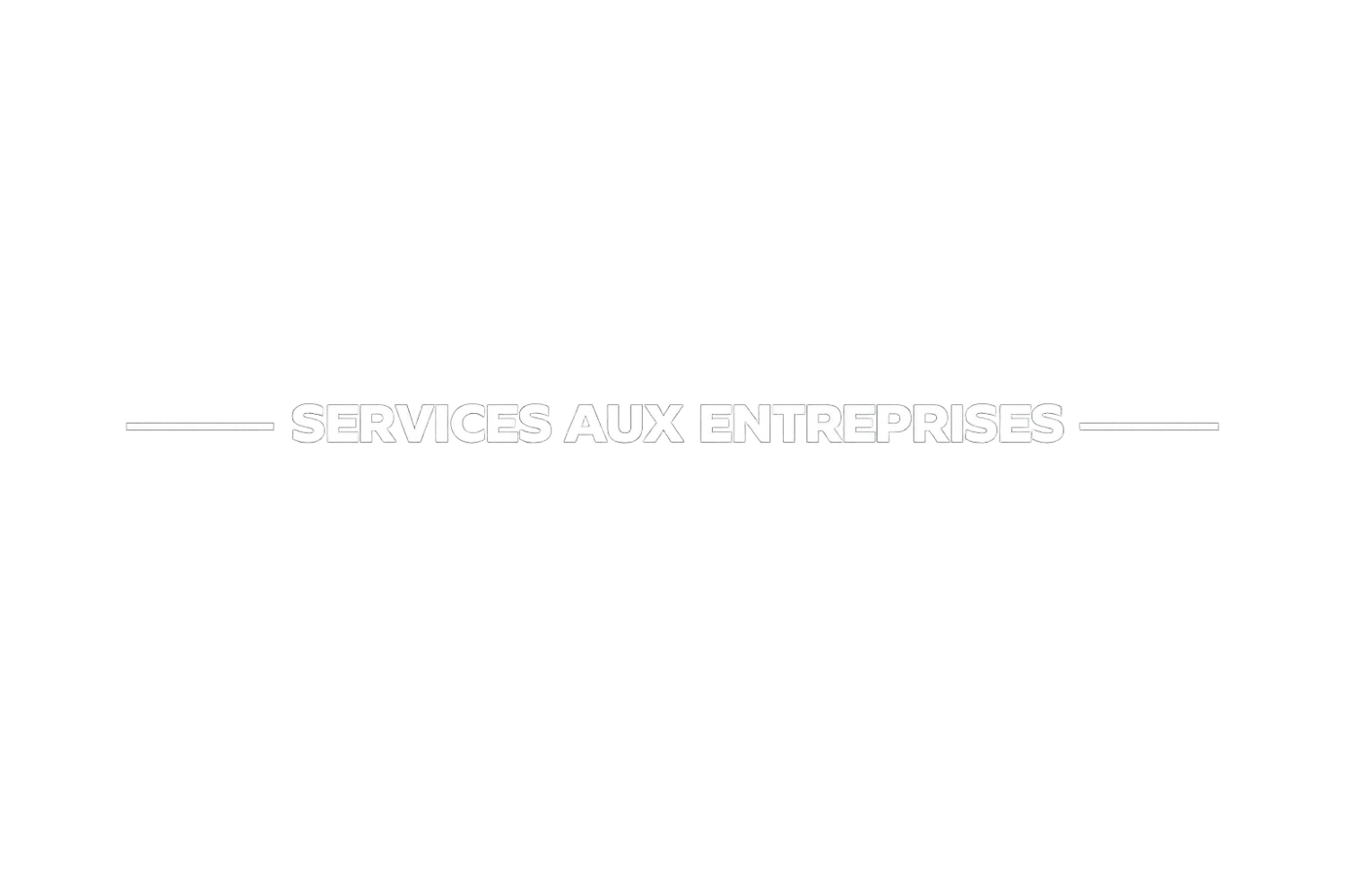 Services informatiques professionnels pour entreprises et infrastructures d’affaires modernes