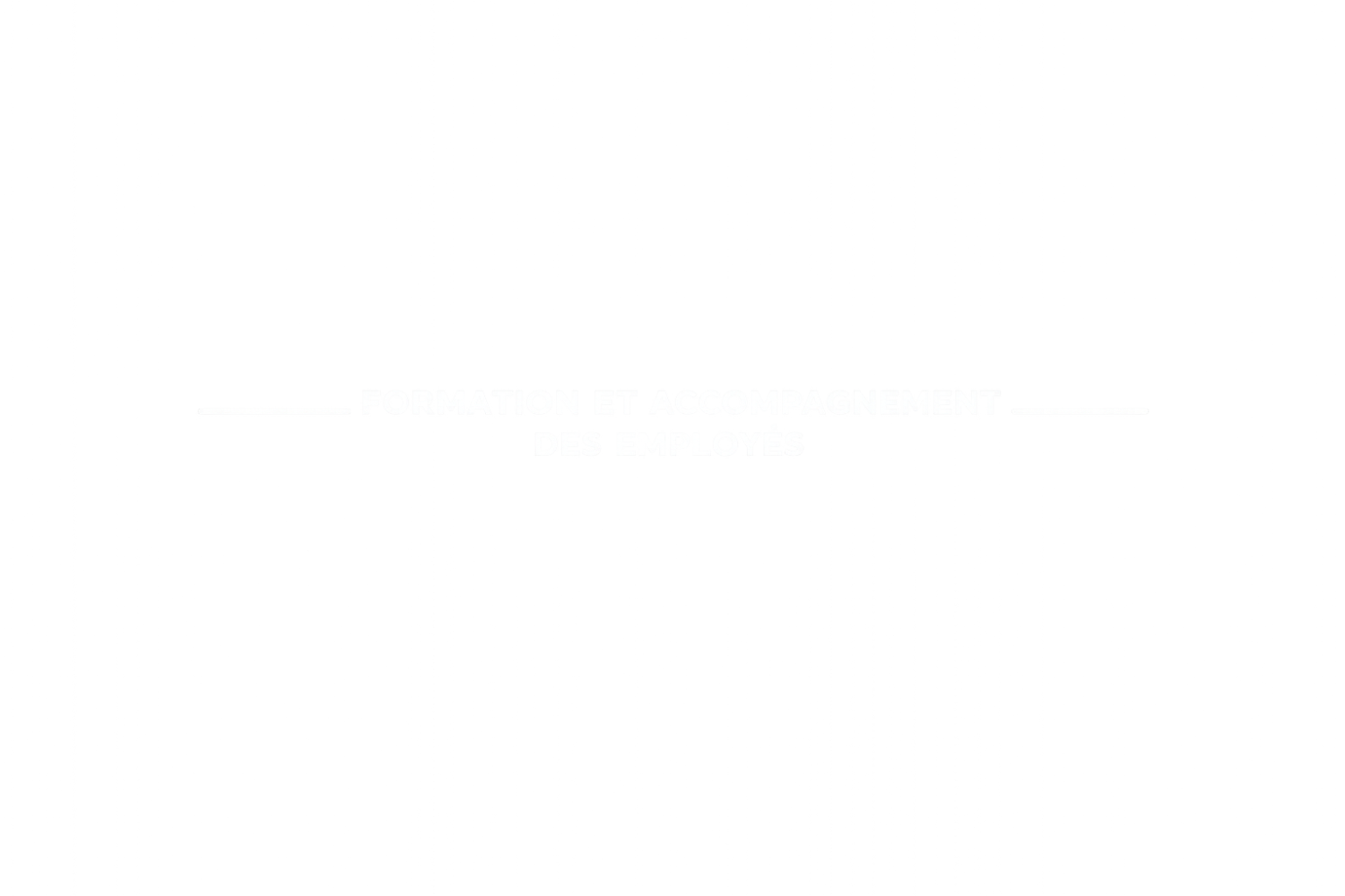 Accompagnement technologique et formation continue des équipes en entreprise